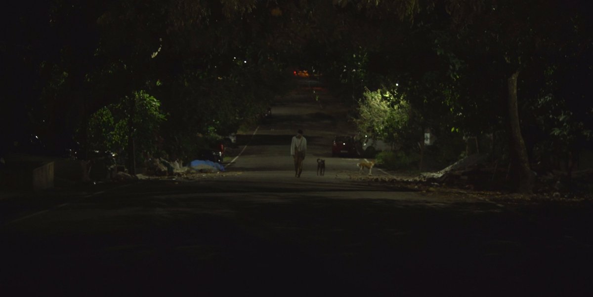 Jimmy It tweet media