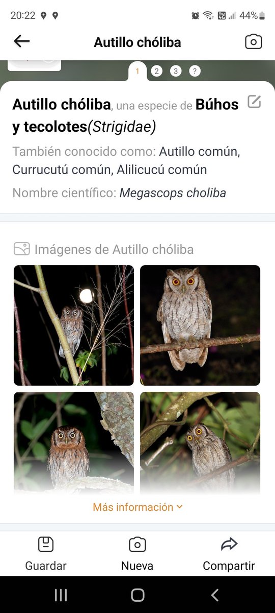 Miguel Lederkremer tweet media