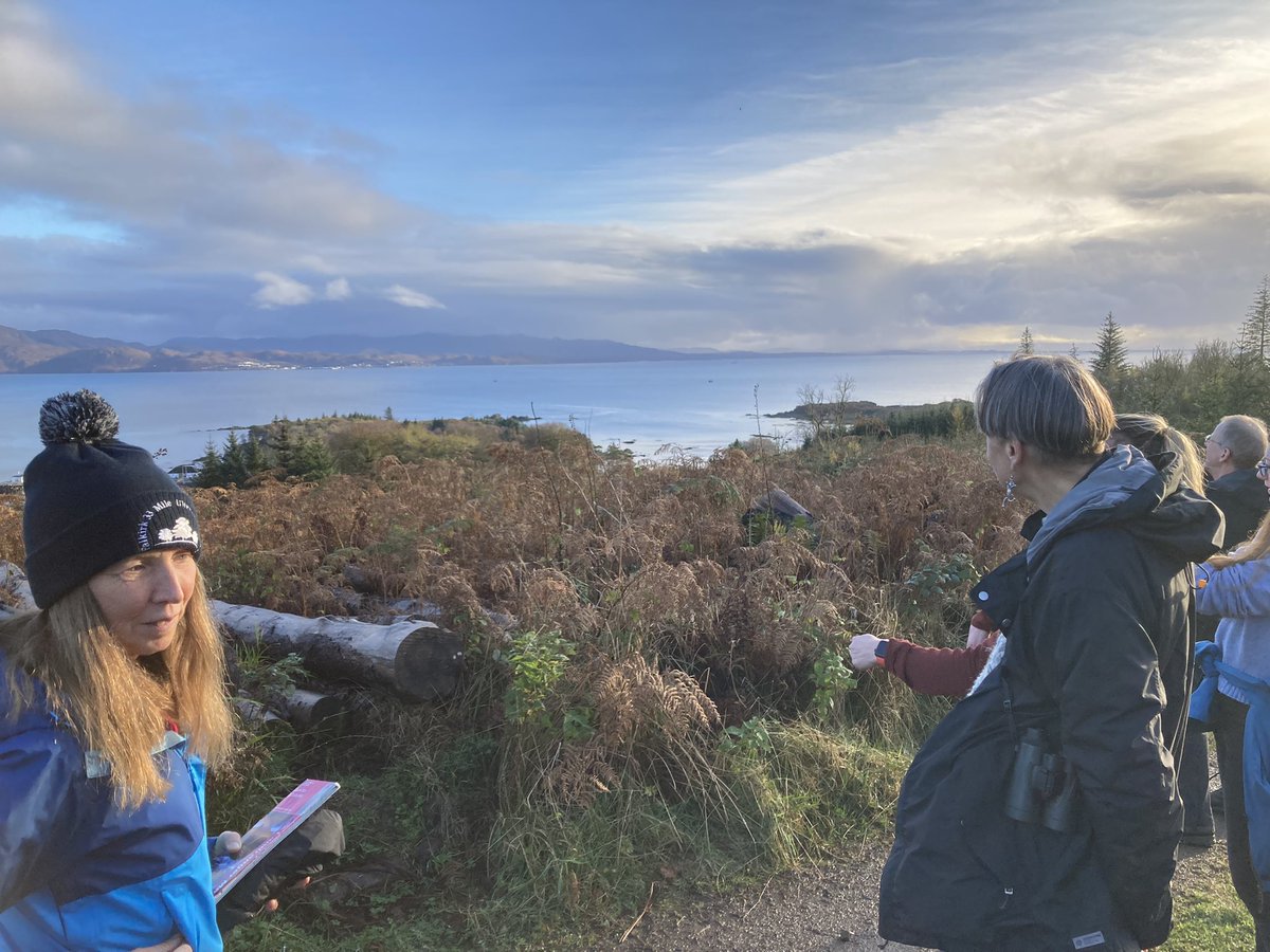 Viking Surgeons Association tweet media