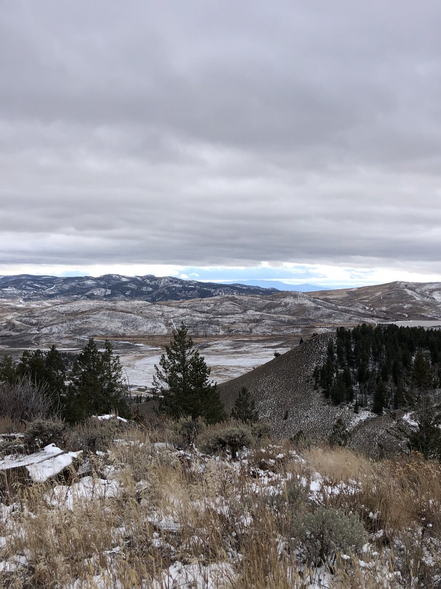 Realrellim's tweet photo. Definite Colorado winter trail running, complete with 30 mph gusts. #runstreak day 1484 #zoomarunclub #leagueofgarmin #snowrunning #running #trailrunning https://t.co/unot2PmniV