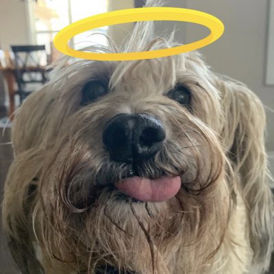 ThoughtsofOdin tweet media