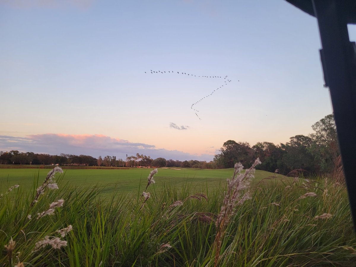 turfwidowwife's tweet photo. Sunset with the Dirt Farmer and his 87 million blades of grass @Legacyagronomy @turffboy67 https://t.co/dA9d0b7NNM