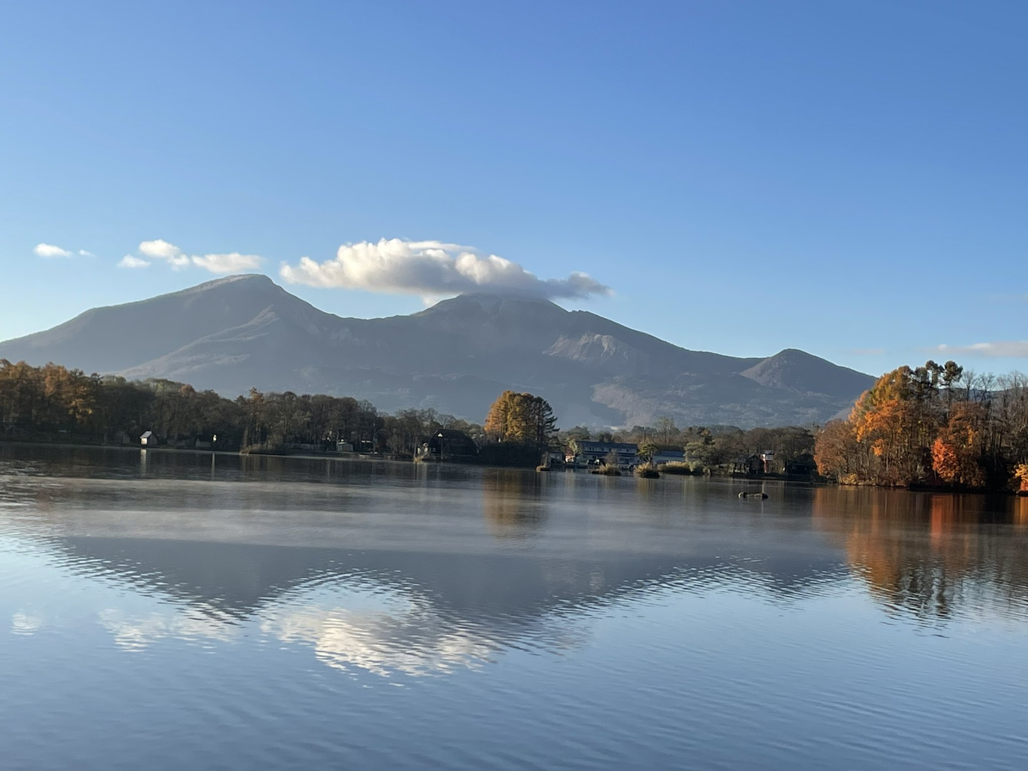 セール品 【割引 新潟とちおコシヒカリ精米風袋込25kg sachi様専用