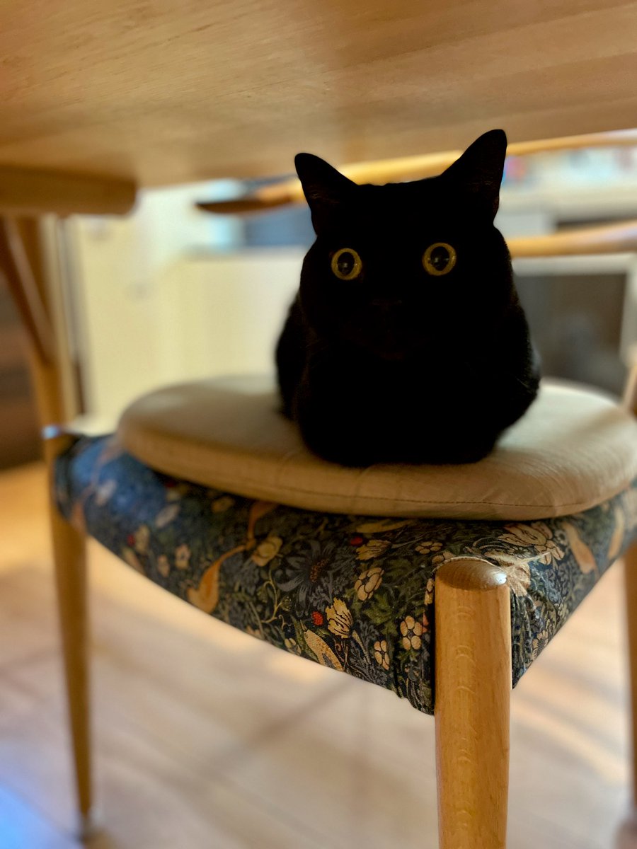 猫組長の投資顧問グループが明かす2024年まで勝てる株式投資術