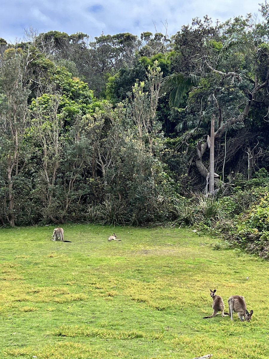 Back on Gumbanggirr Country. Mums &amp; Bubs Sunday!!