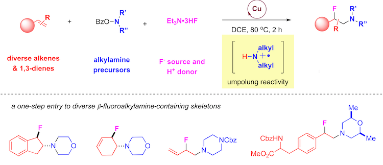 Szostak Group@Amides_NHCs_Catalysis tweet media