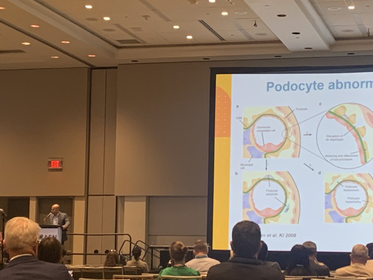 ChelseaCEst's tweet photo. #kidneyweek highlights included an excellent #podocyte talk (here’s a less than excellent pic) from our fearless leader @SKMallipattu https://t.co/sw40J3so9l