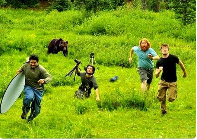 Gerda Pardiac tweet media