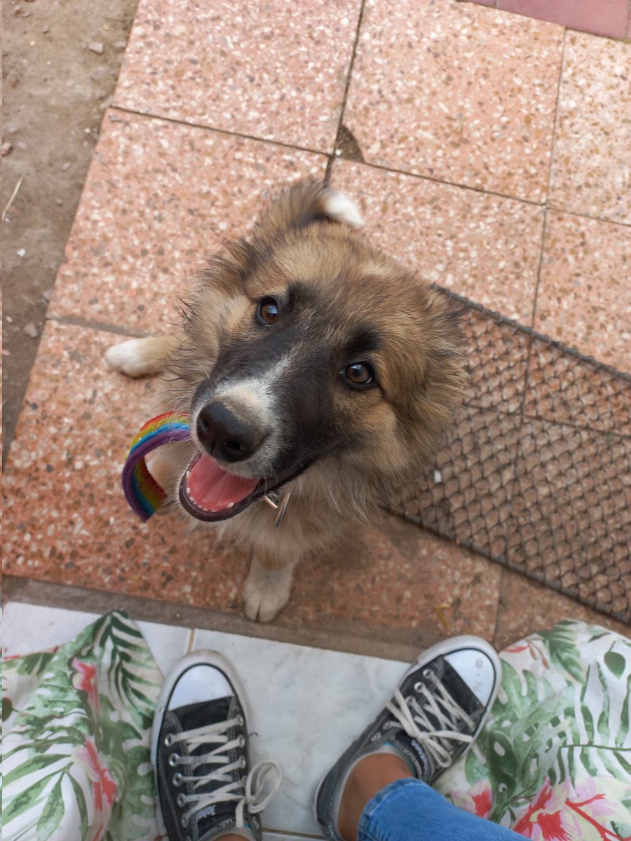 07Llano's tweet photo. vengo a presumir a mi perrito😍🥰
te amoooooooooo 🤎 https://t.co/uZ6ihD2vld