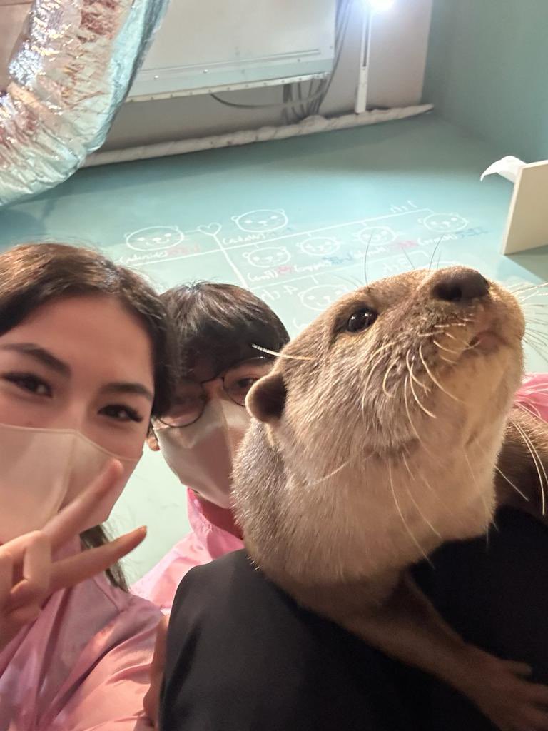 We met otters 🦦