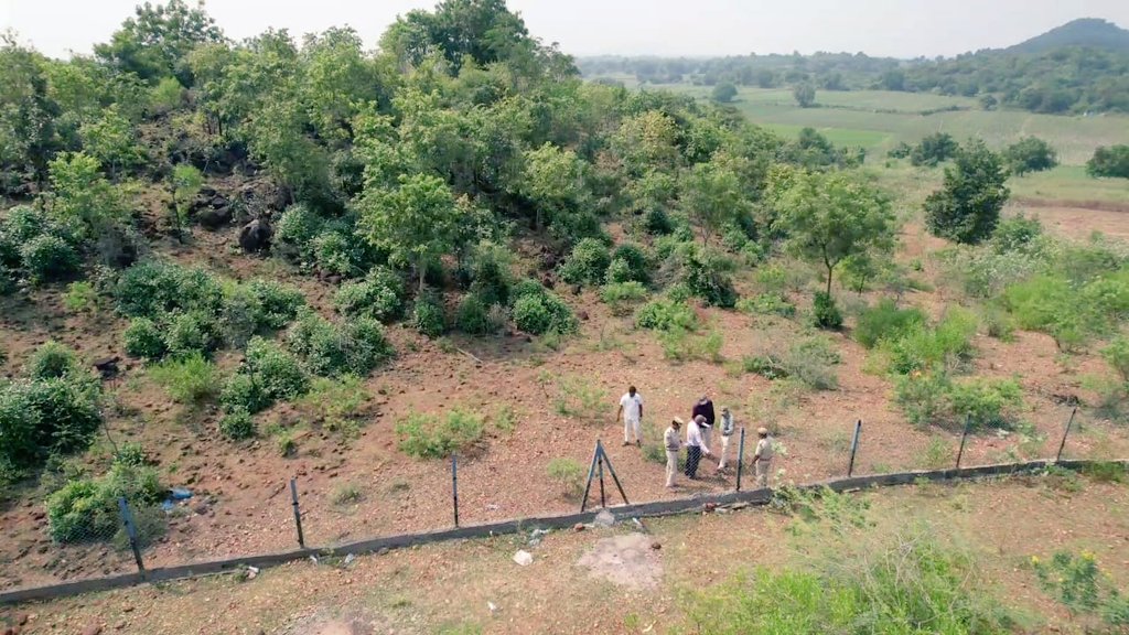 Siddharth Vikram Singh, IFS tweet media