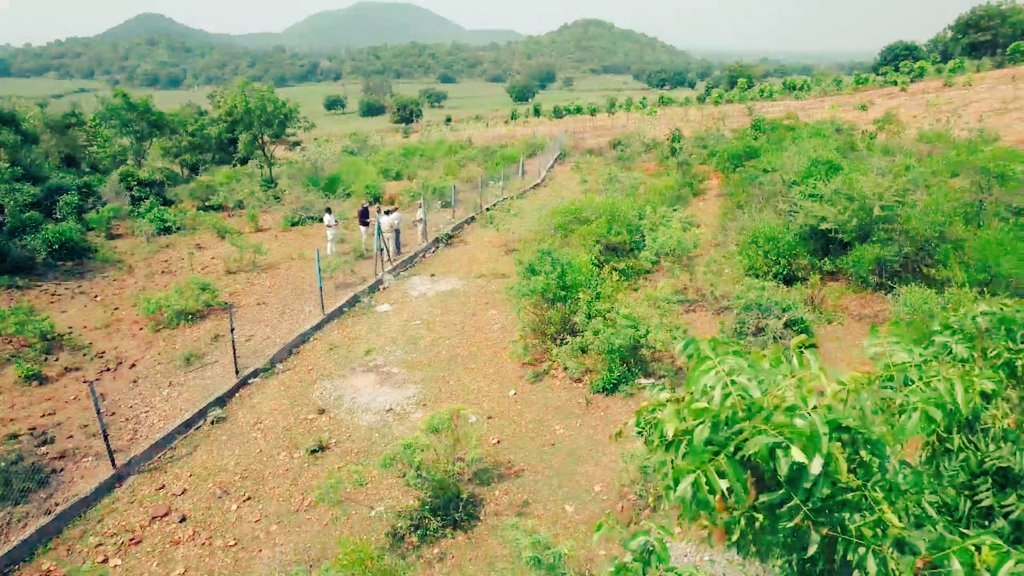 Siddharth Vikram Singh, IFS tweet media