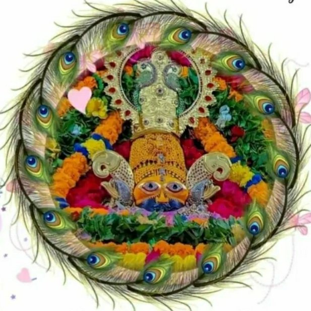 codinglover8493's tweet image. #NewProfilePic