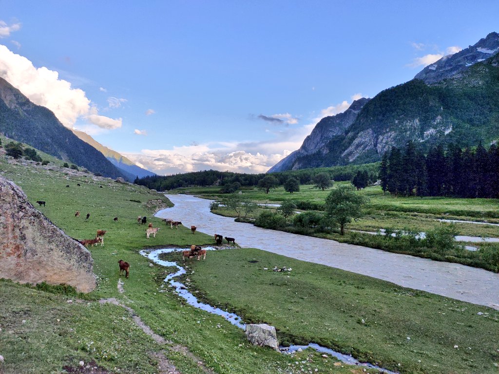 Arvindsharma246's tweet photo. ⛰️🤩Muling Bhaba Valley🤩⛰️
#awesome #view #valley #Mulling #Bhaba #Kinnaur #Himachal
@Epsitdhar @himachalwali_
@batata_purii https://t.co/5YYdfTKven