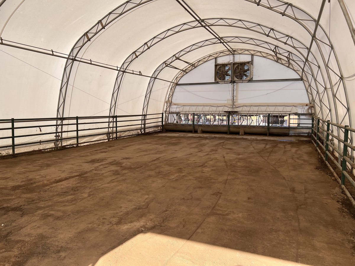 Just finished a large beef study to identify optimal animal diets to minimize nitrogen emissions in our unique “Bovine Bubbles”. Early results point at breakthrough findings that show how to optimize animal performance while minimize environmental footprint. Exciting!