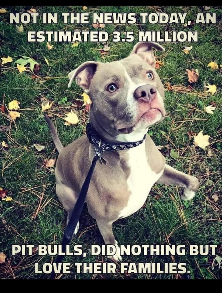 KingServiceDog's tweet photo. Go tell that! https://t.co/OoW7DknasL