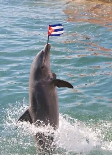 Viva #Cuba libre y soberana!