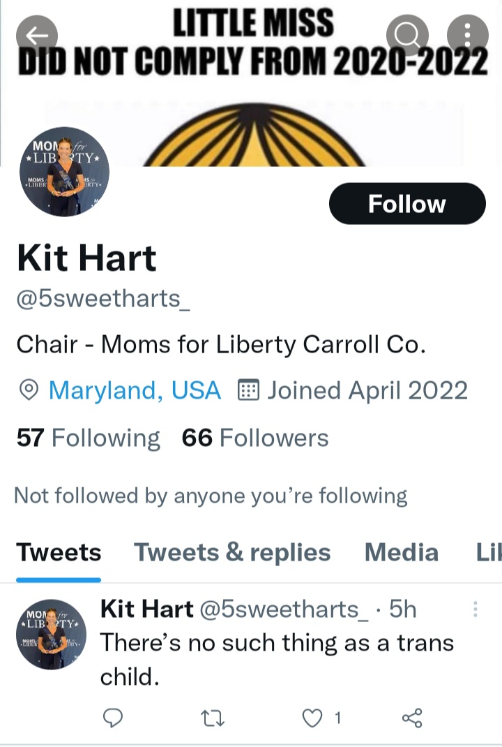 kalyai's tweet photo. Bigotry and hate from the carroll county md chair of @Moms4Liberty 

#hatewontwin #lgbtq https://t.co/c9WnCwVQhc