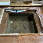toto*mamima猫に温泉♨️のツイート画像