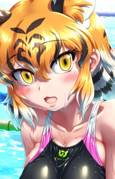 ミリさん主催の競泳水着合同誌にトラさんで参加させていただきましたー🐅
私以外にも参加されている方々の競泳水着作品のどれもとても素晴らしくて眼福です👙👀❤
是非よろしくお願いしますー!
#けもフレ競泳水着合同 https://t.co/XwJQOsPlMn 