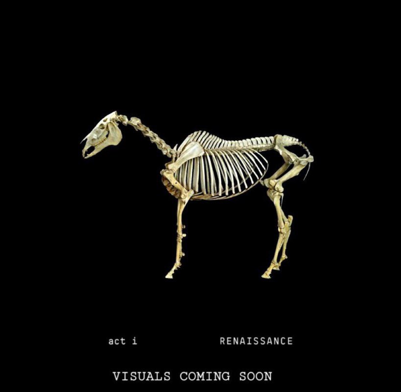 Tonio ♕ tweet media