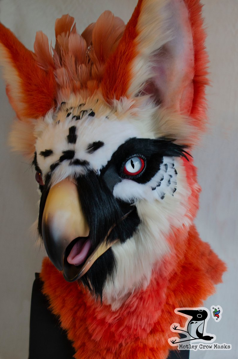 Motley Crow Masks tweet media