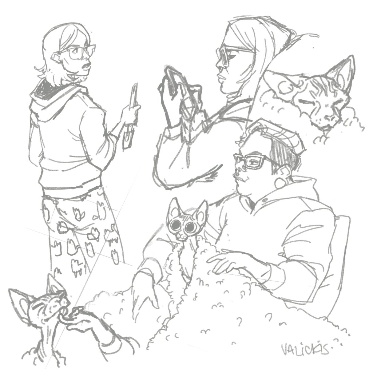 Sketching the creatures in my apartment @shnell @lorelli_ 