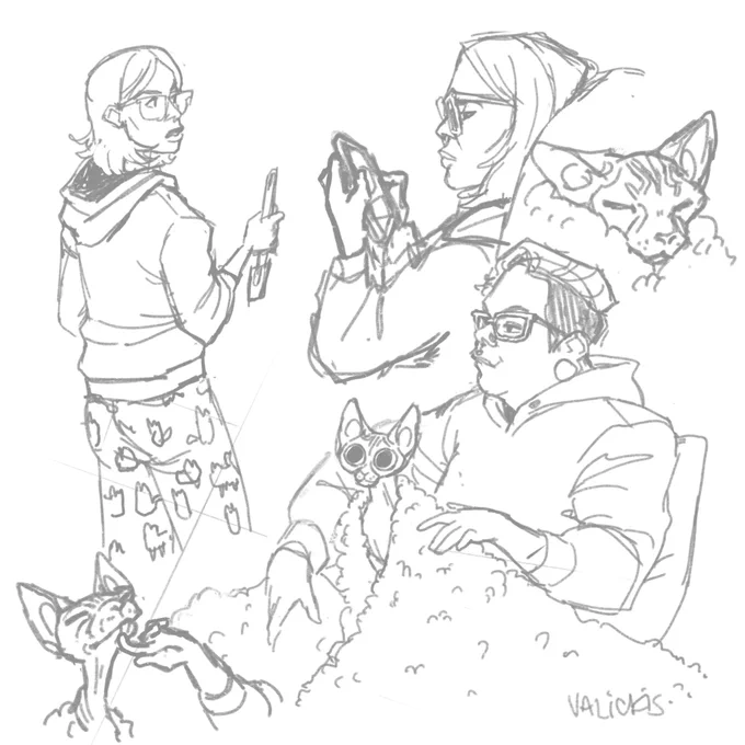 Sketching the creatures in my apartment @shnell @lorelli_ 