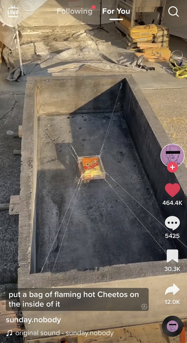 davidwebstr's tweet photo. this dude who built a 3000 lb earthquake proof concrete sarcophagus with flaming cheetos inside will really make you question your own life choices https://t.co/GSKi2aIJ88