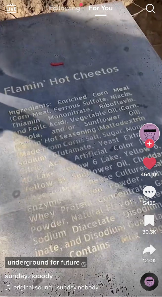 davidwebstr's tweet photo. this dude who built a 3000 lb earthquake proof concrete sarcophagus with flaming cheetos inside will really make you question your own life choices https://t.co/GSKi2aIJ88