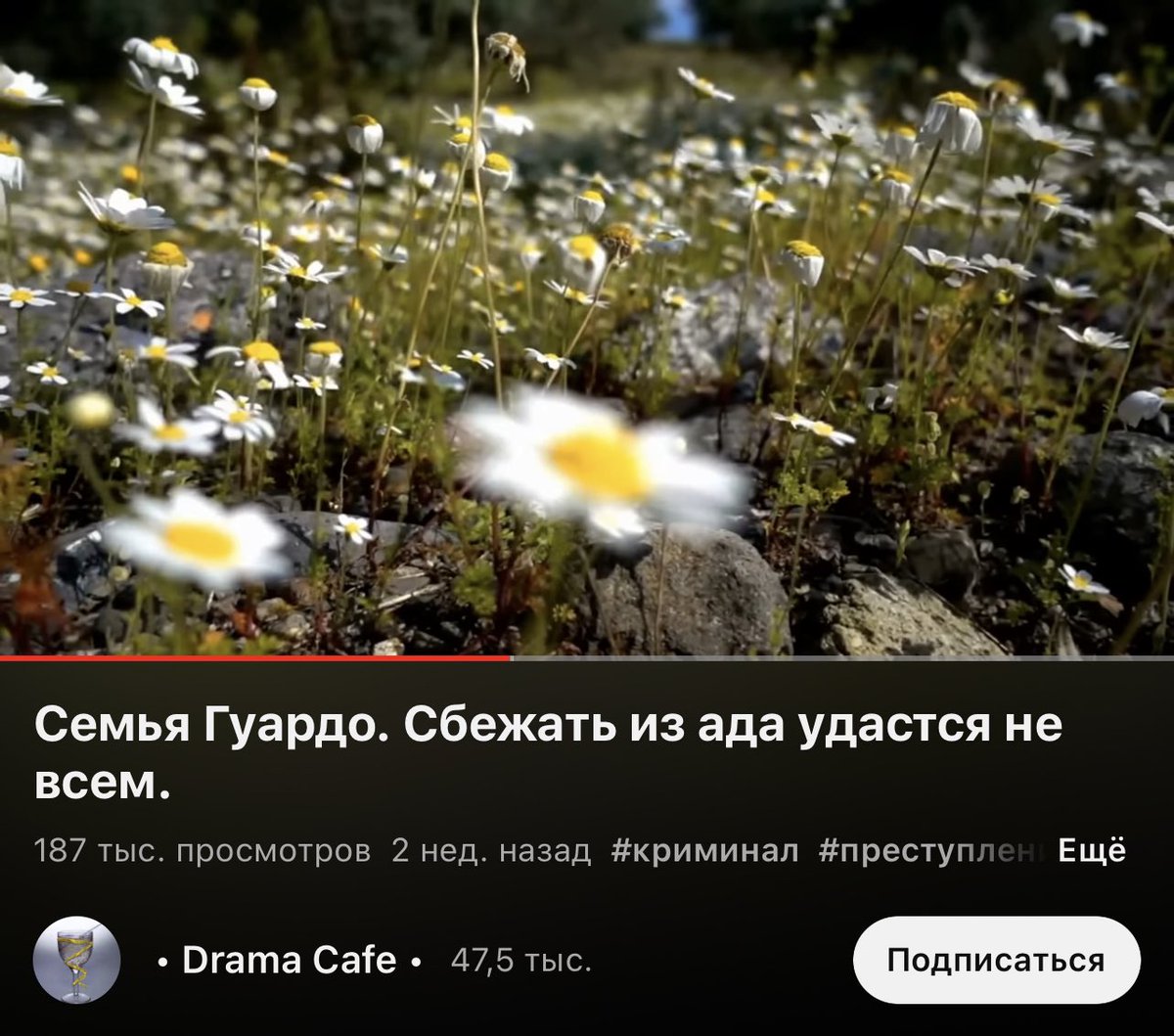Решила включить себе трукрайм ролик, чтобы под него заснуть как обычно
Через полчаса осознала, насколько это была херовая идея: лежу с вытаращенными глазами, молча смотрю в пустоту
НАСТОЯТЕЛЬНО НЕ РЕКОМЕНДУЮ СМОТРЕТЬ ЭТО ВИДЕО НИКОМУ