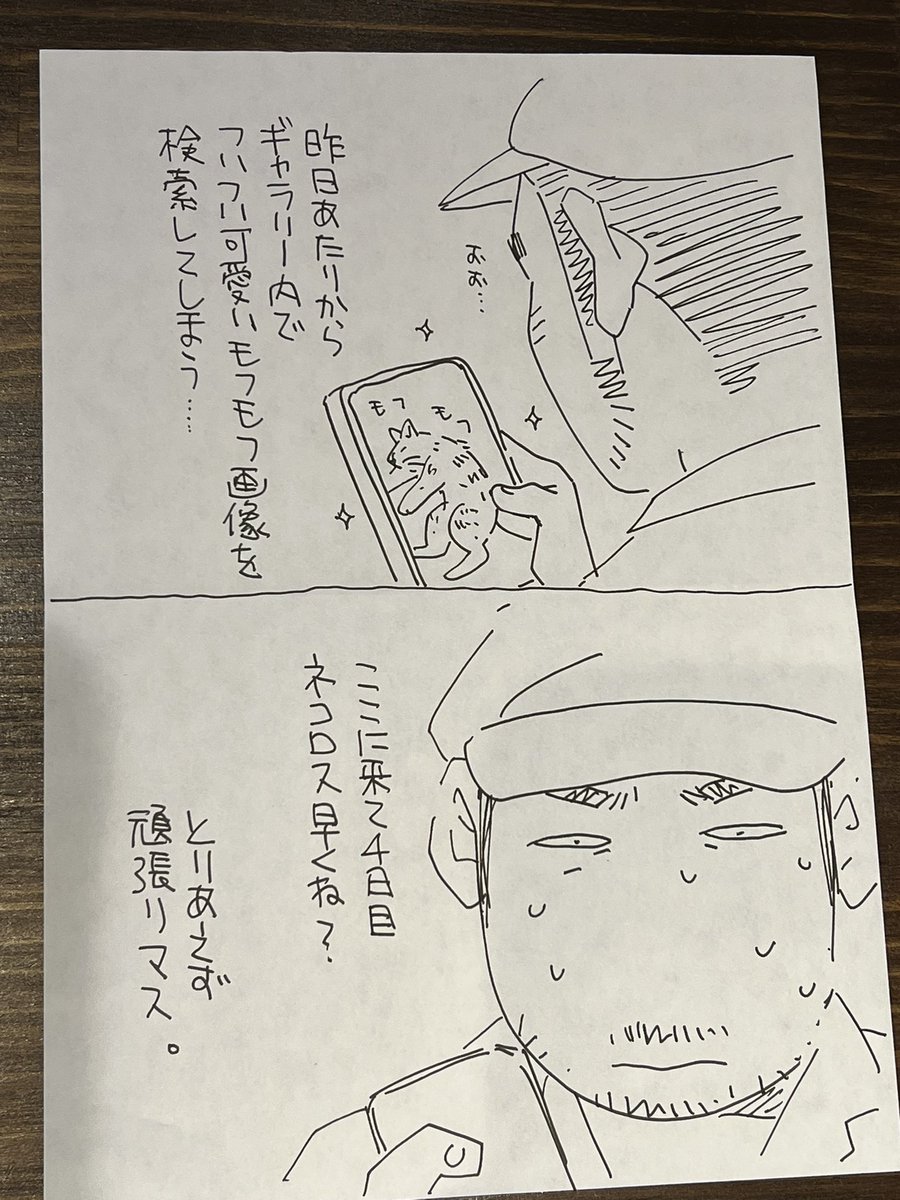 本日の私。 