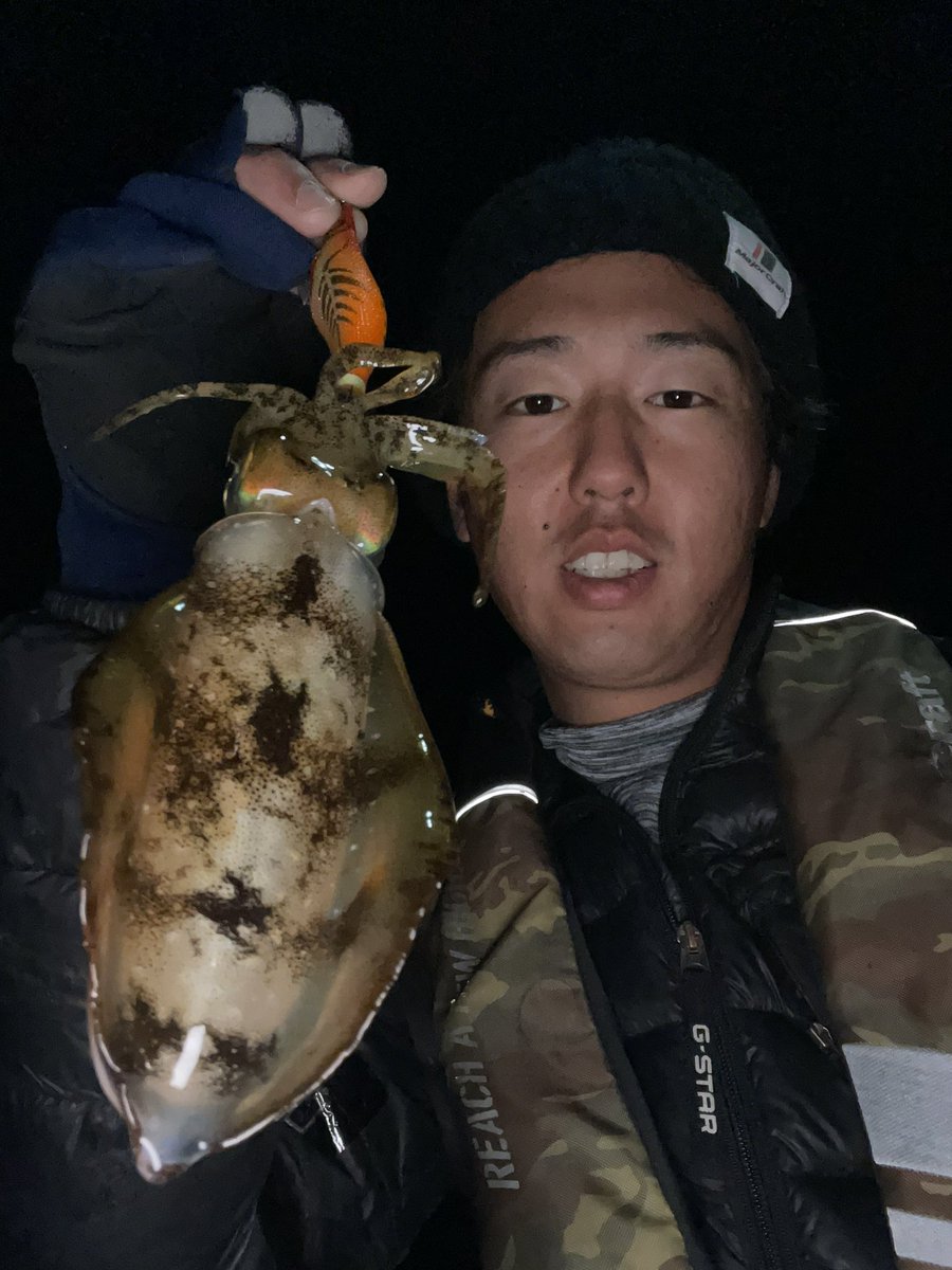 _mobu_31's tweet photo. 昨夜はイカ釣れるは鯵もお祭り🤤

全部20オーバーの20後半も混ざったんだか😳

#ザンビー のクリアカラーが当たり🤤

鯵道の622L感度神🤣

#餌木蔵ベイトフェザー
#鯵道5G 622L https://t.co/dH1zioYEzZ