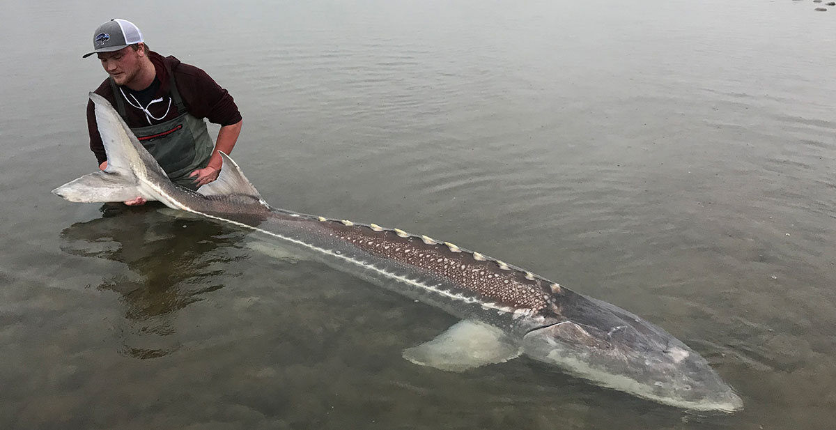 OGHORRORHOG's tweet photo. best fish ever https://t.co/taa0EIipoE