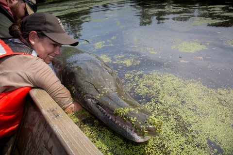 OGHORRORHOG's tweet photo. best fish ever https://t.co/taa0EIipoE