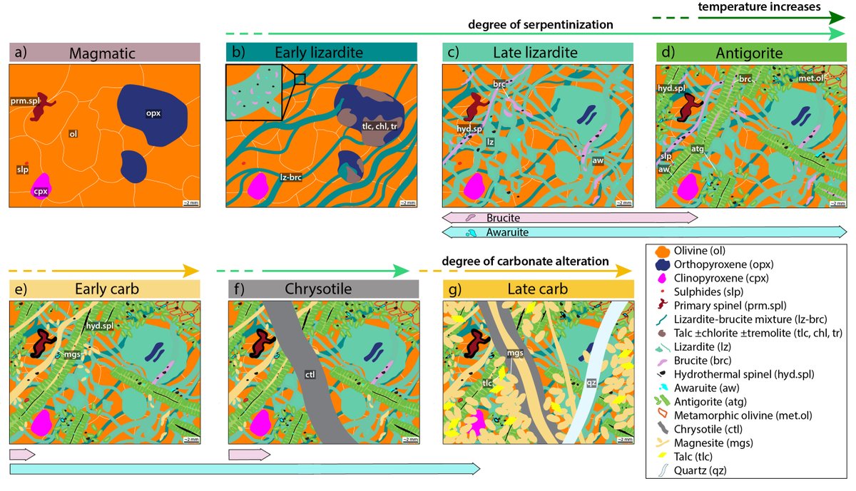 KatrinSteinth's tweet photo. There were at least 3 serpentinization stages and 2 carbonate alteration stages that occurred in these ultramafic rocks - and brucite and awaruite (and other minerals) formed at different times! Check out this schematic -> (5/5) https://t.co/IIAxG1gvNR