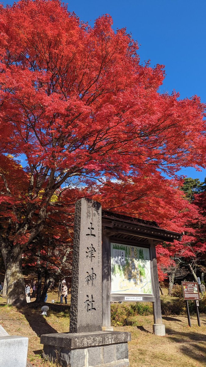 Vyrn_3apple's tweet photo. 紅葉きれい(*´ ˘ `*)♡ https://t.co/RxPKqetk7X