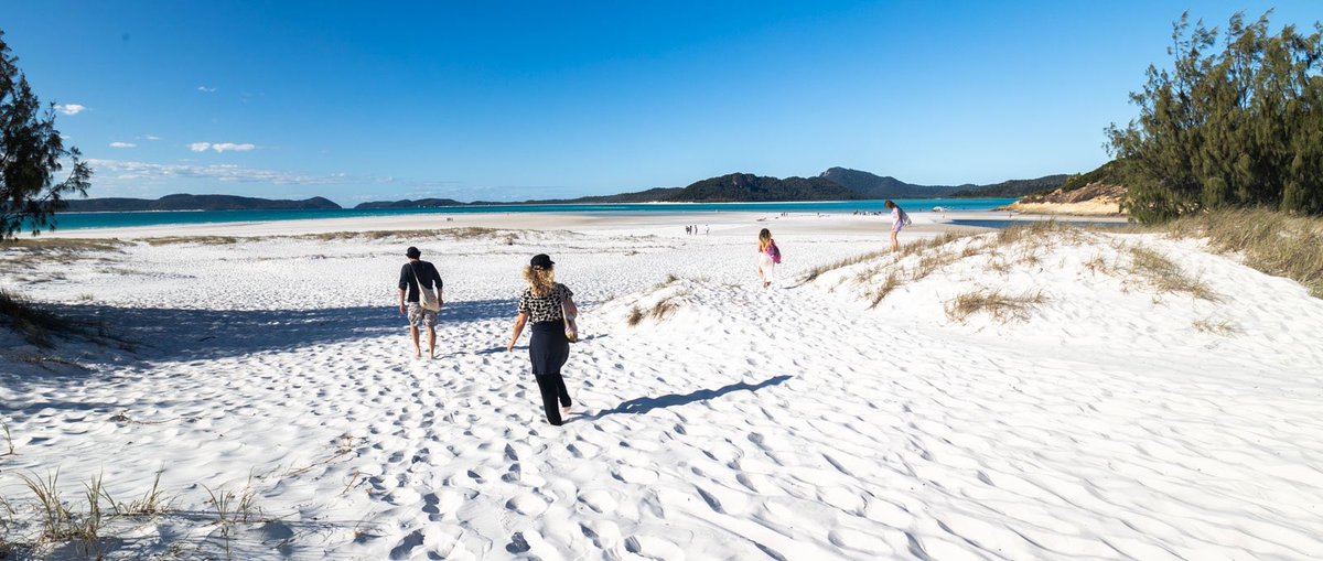 Whitehaven Beach. So beautiful we just had to go for a swim, despite the stingray warnings!
#travelaustralia #whitsundayislands #Queensland #lapofaustralia #delicadays #travel