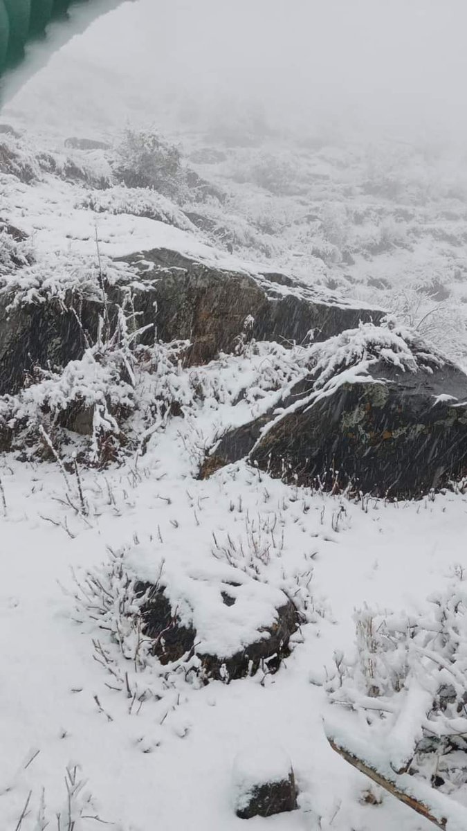 shubhamtorres09's tweet image. Heavy #Snowfall in #PangiValley ☃️☃️

#Chamba #HimachalPradesh