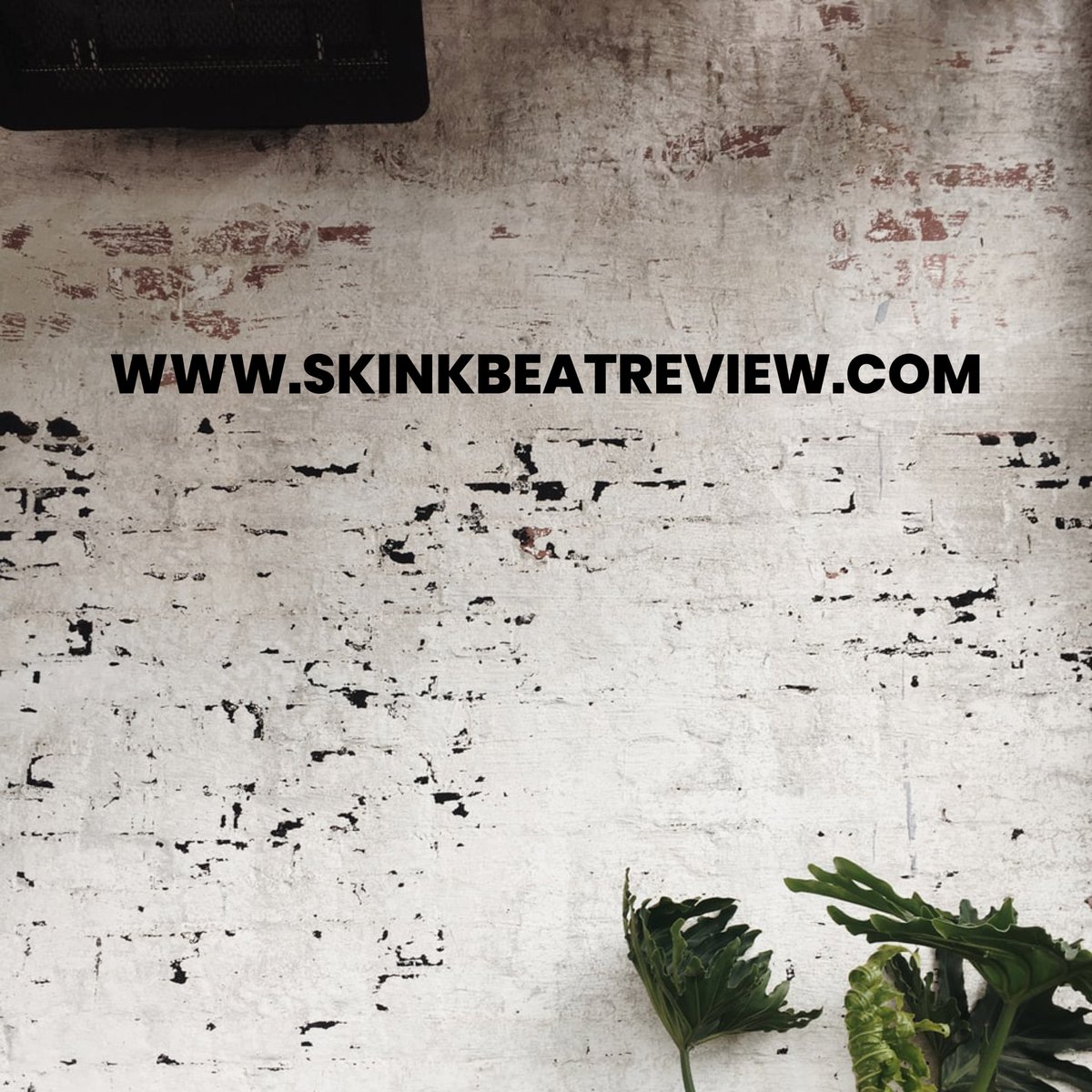 Skink Beat Review (submissions open) (@skinkbeatreview) on Twitter photo 