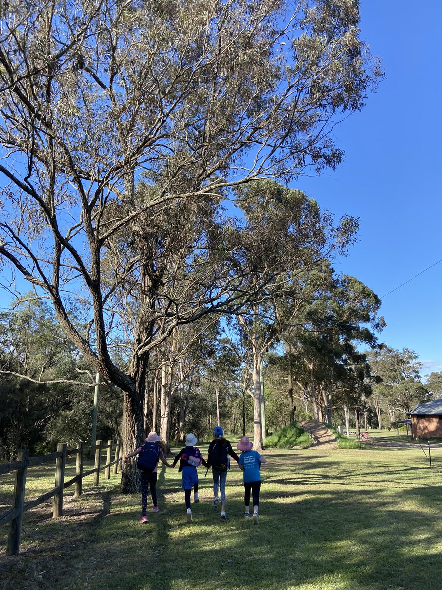 Team 3/4a will never let you down 👊✨ Unless their climber asks them to 😉 #schoolcamp #teamwork #resilience #leadership