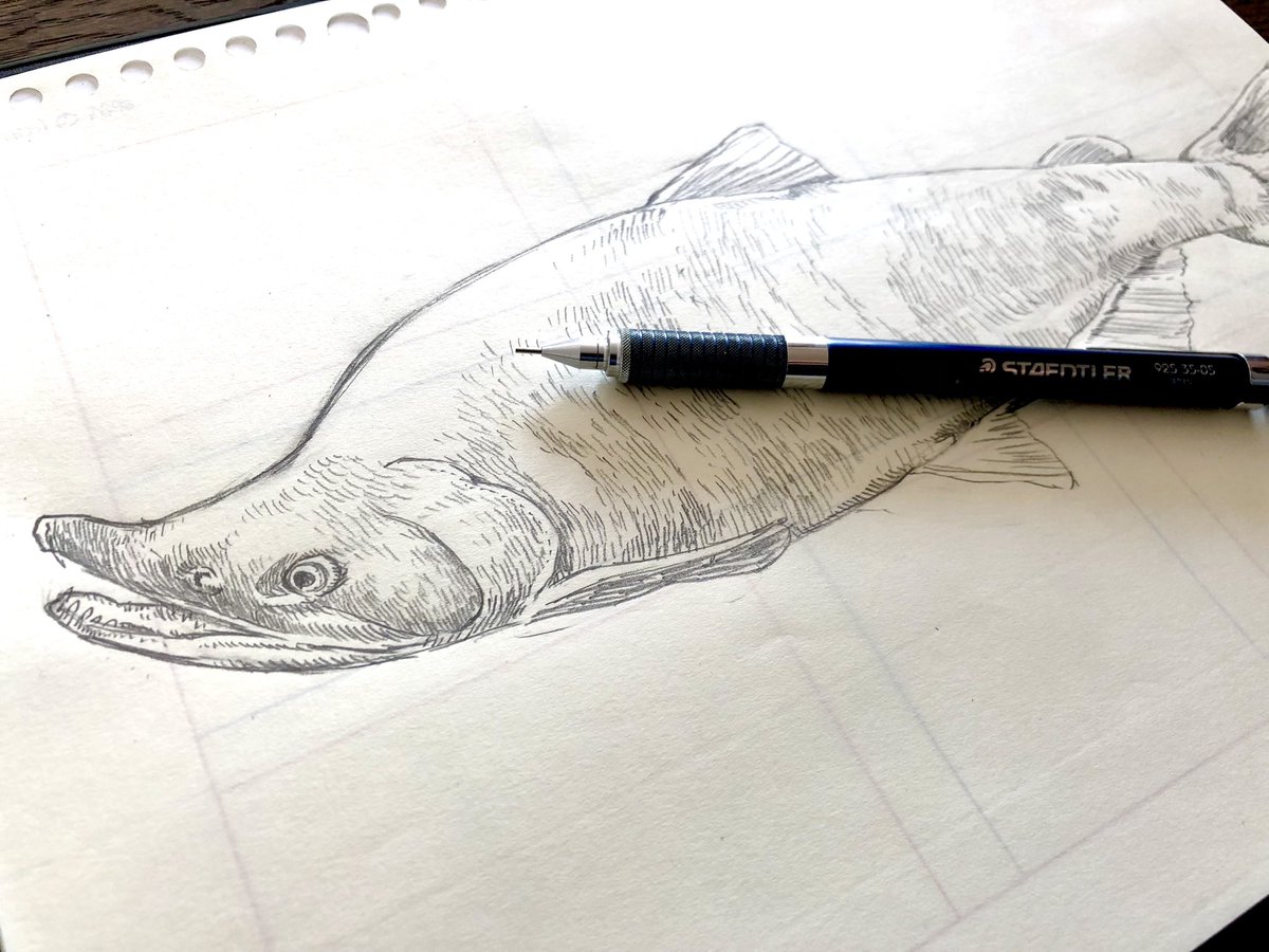 harutoki_k's tweet photo. #WorkinProgress #redsalmon #hirokotakahashi
シャケも描かねばなのだけど、2体描くかどうか迷い中。 https://t.co/Mr21zgcSHk