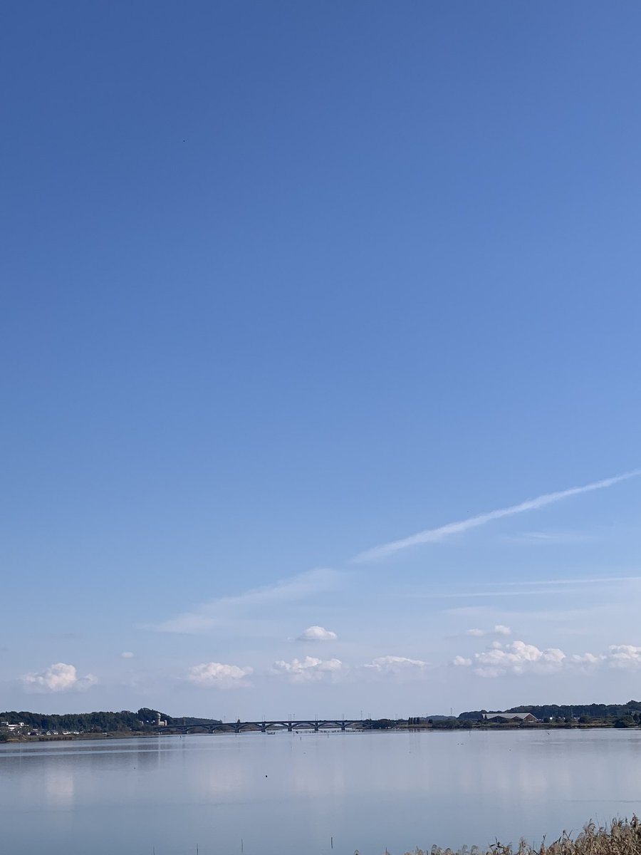 秋晴れ☀️  #手賀沼