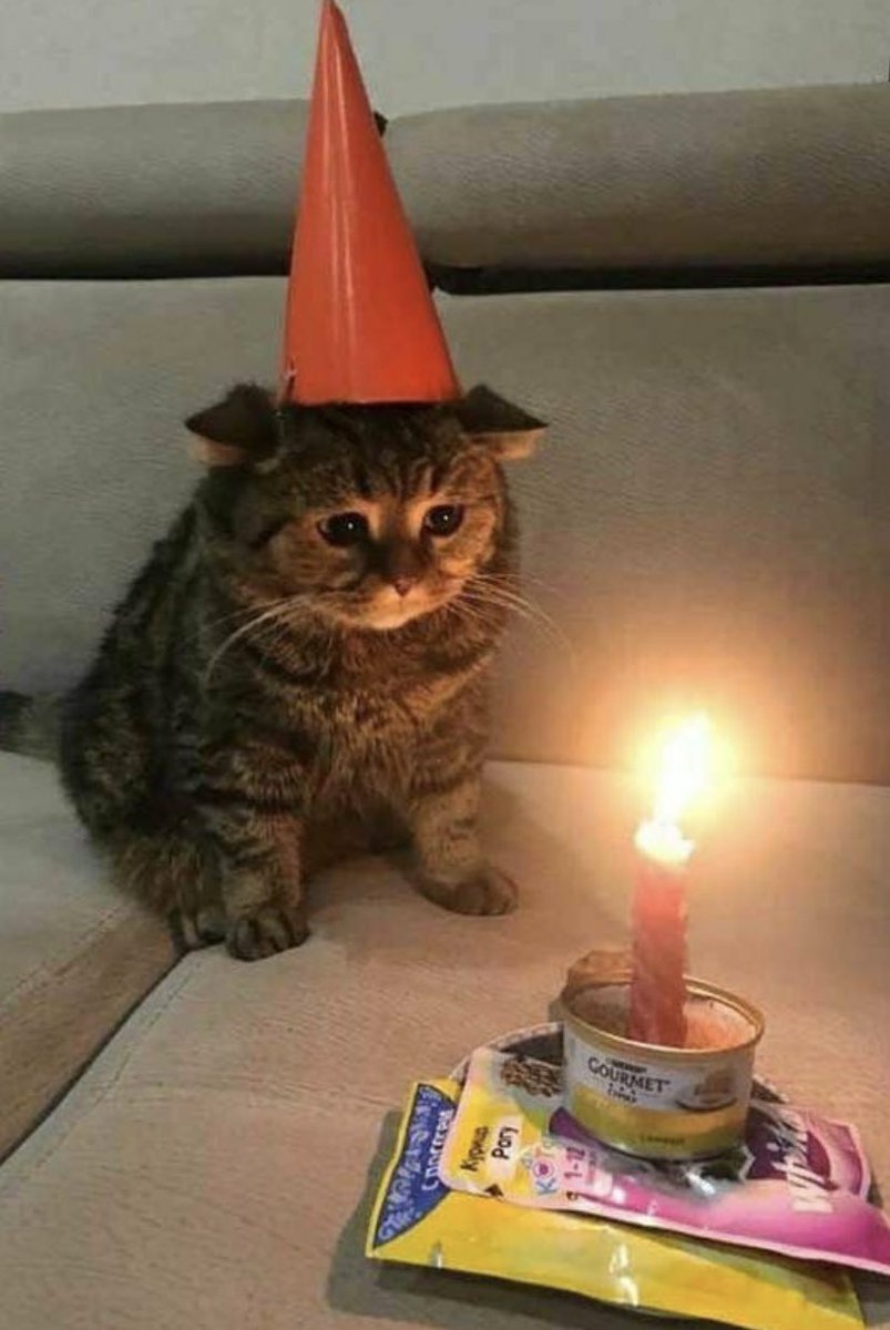 mateusxnts's tweet photo. parabéns pra mim!!! 🥹 https://t.co/lqi6Suh9J7