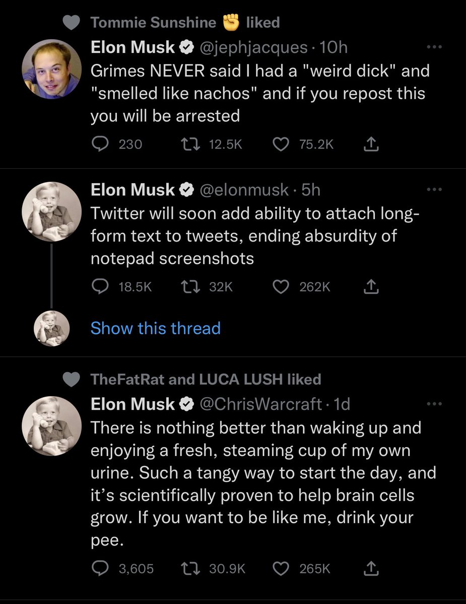 S U L V I D A tweet media