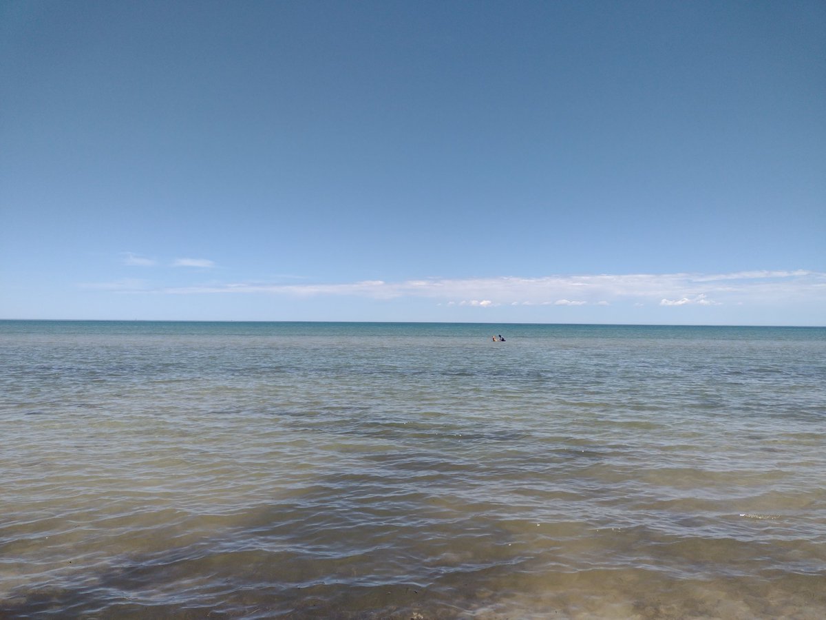 Can you see me? I swam out to the sandbar with my man hooman 🏖️🔆