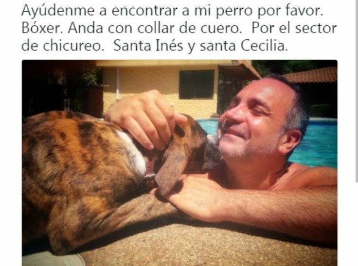 Buen momento para recordar cuando a Lucho Jara se le perdió su perro e intentó encontrarlo compartiendo esta foto donde ni se ve el perro, pero sí él. #Teleton2022