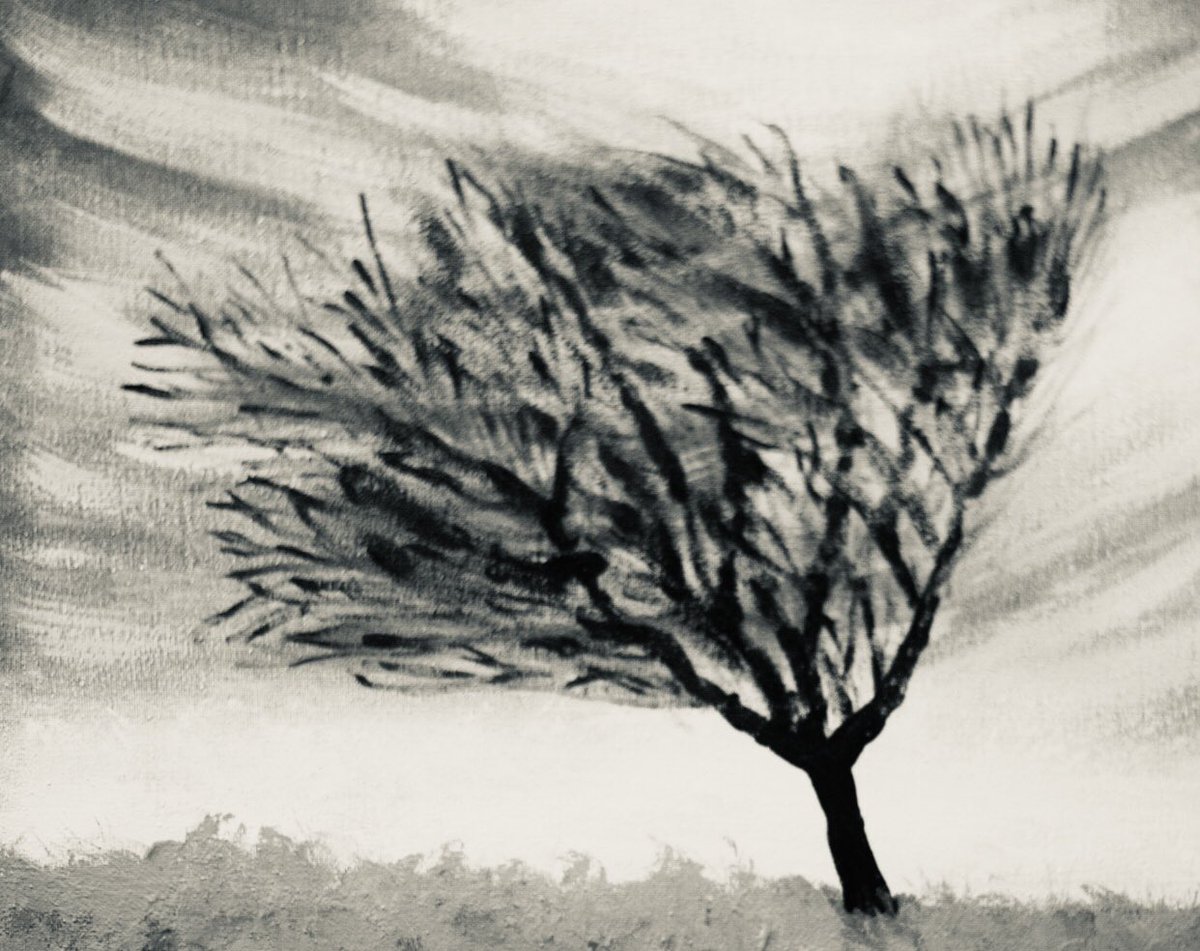 DhkBeau's tweet image. In Ojibwe our word for windy is chi-nodin (pronounced chi-no-din).