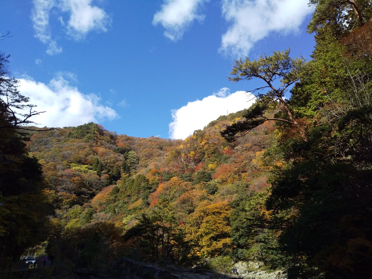 a_trshy's tweet photo. #みまさかハッスル 
#ラジオ関西 #ラジ関 
#奥津温泉 #奥津渓谷 https://t.co/N7t2c3UDa8
