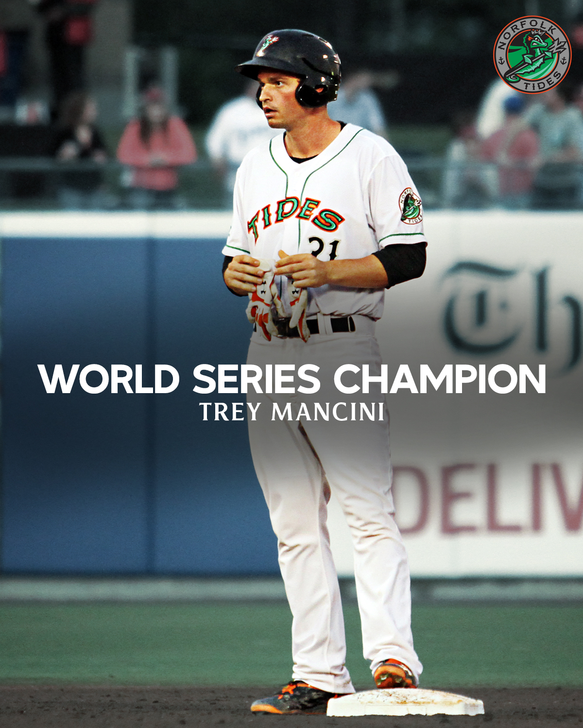 Norfolk Tides on X: Congratulations to Trey Mancini on his World